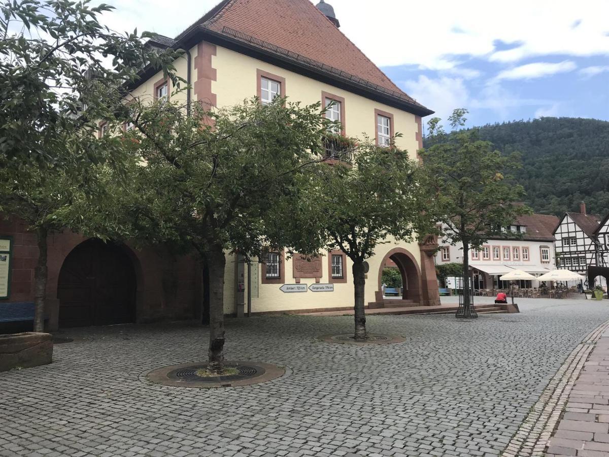 Ferienwohnungen Annweiler Am Trifels Exterior foto