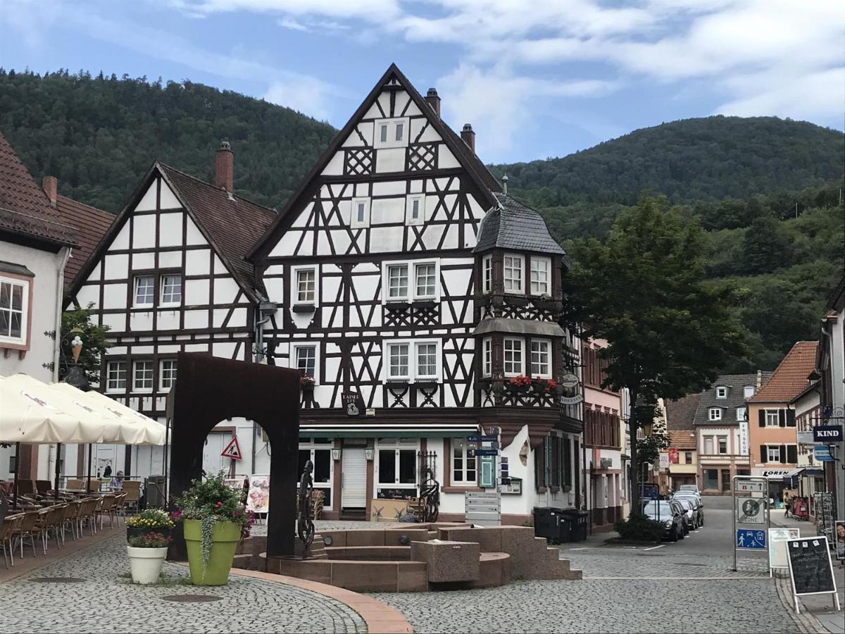 Ferienwohnungen Annweiler Am Trifels Exterior foto