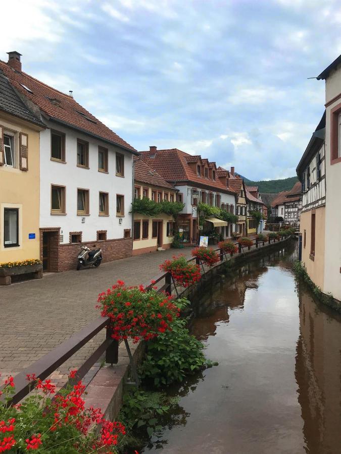 Ferienwohnungen Annweiler Am Trifels Exterior foto