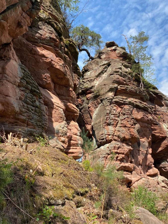 Ferienwohnungen Annweiler Am Trifels Exterior foto